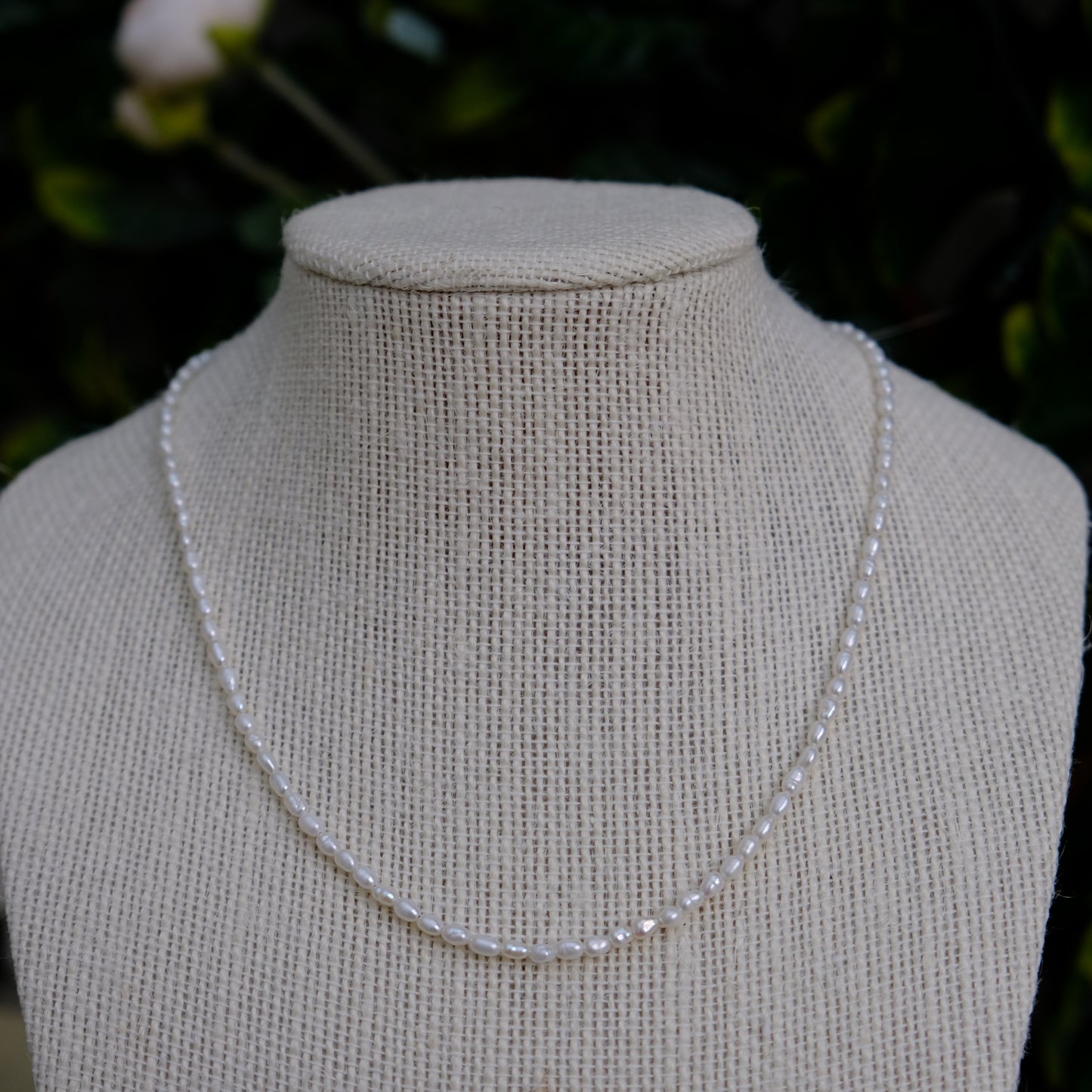Petite Moon Choker