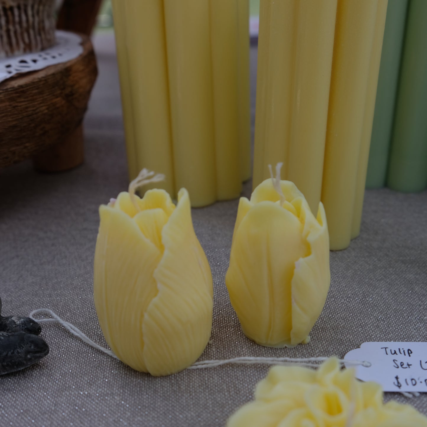 Tulips