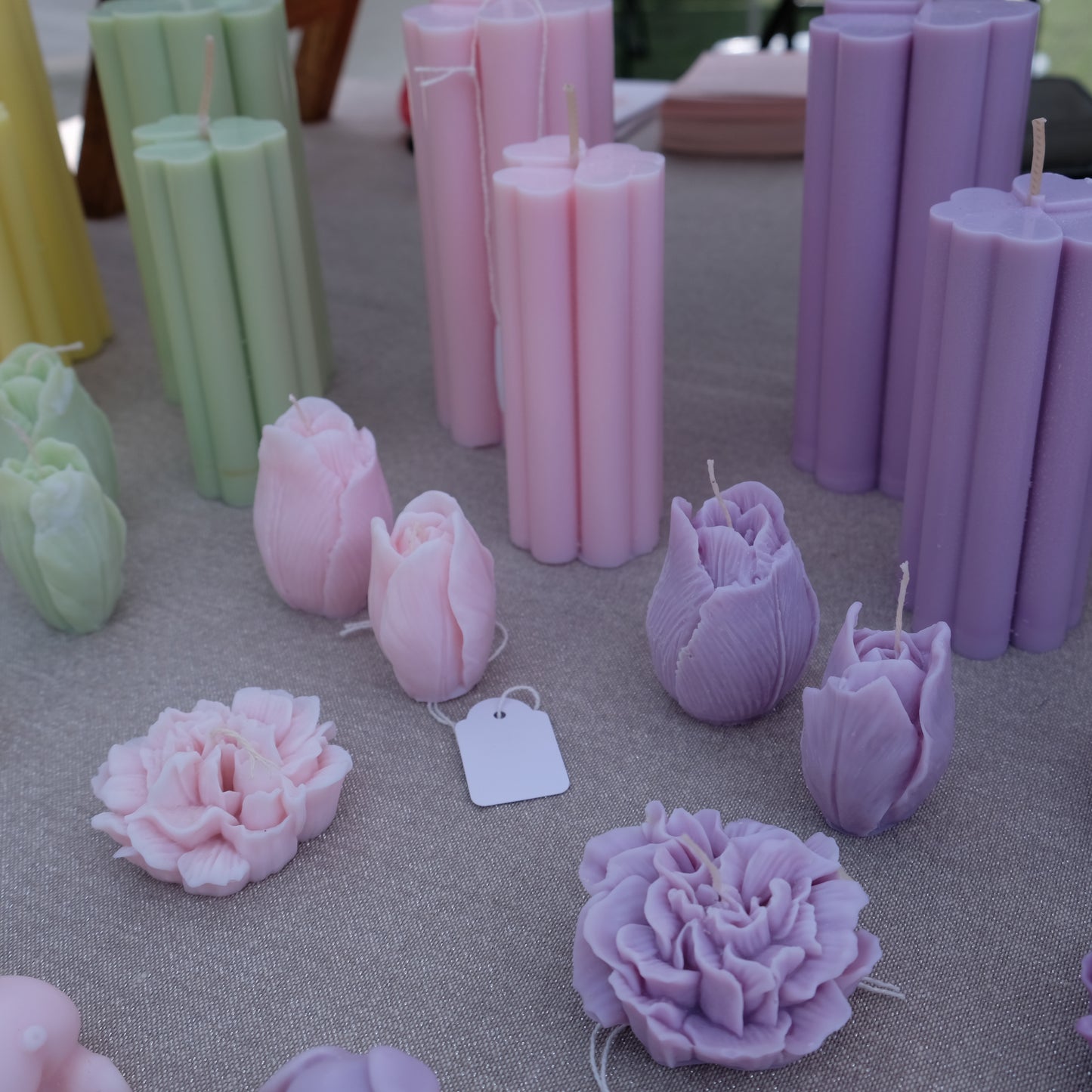 Carnation