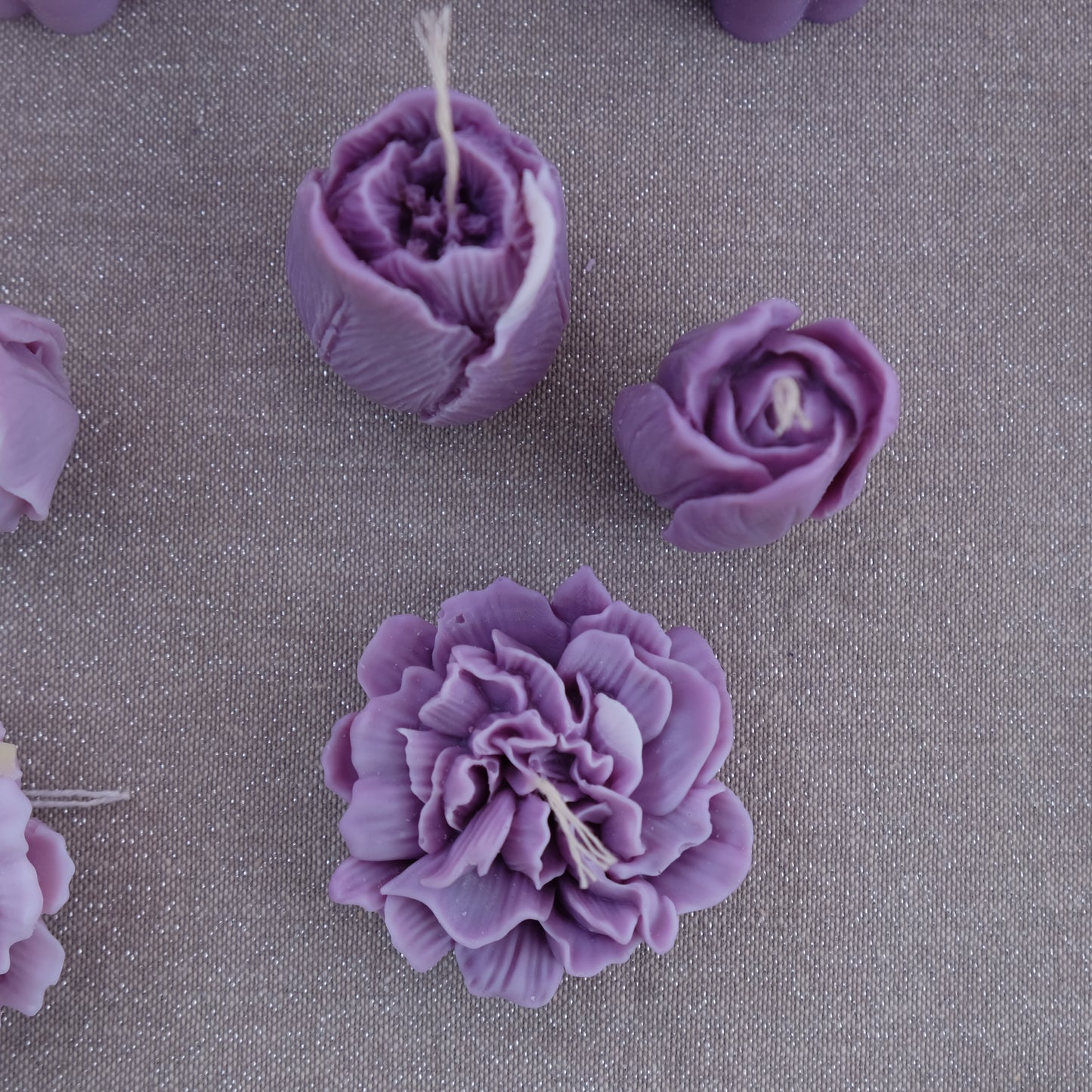 Carnation