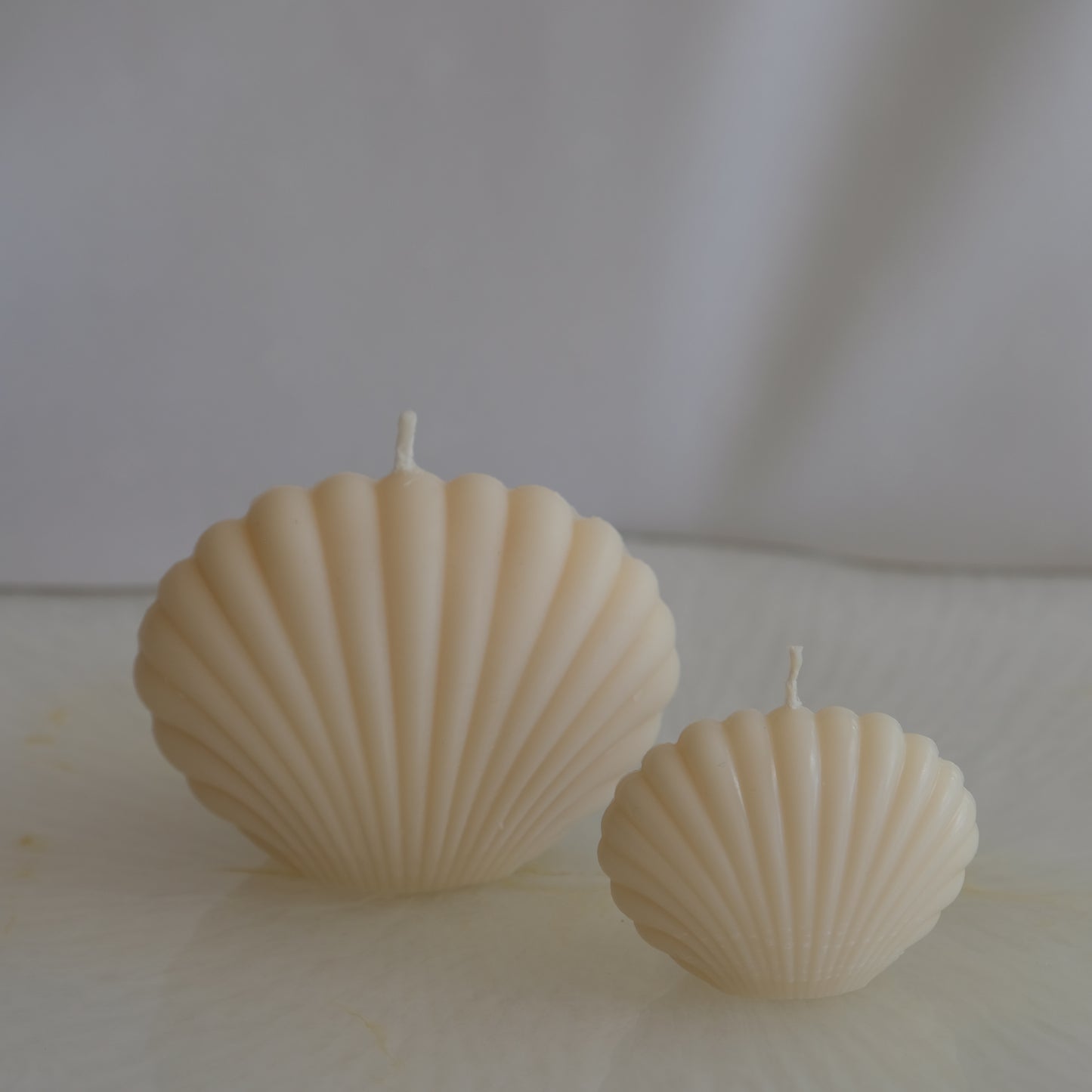 Seashells