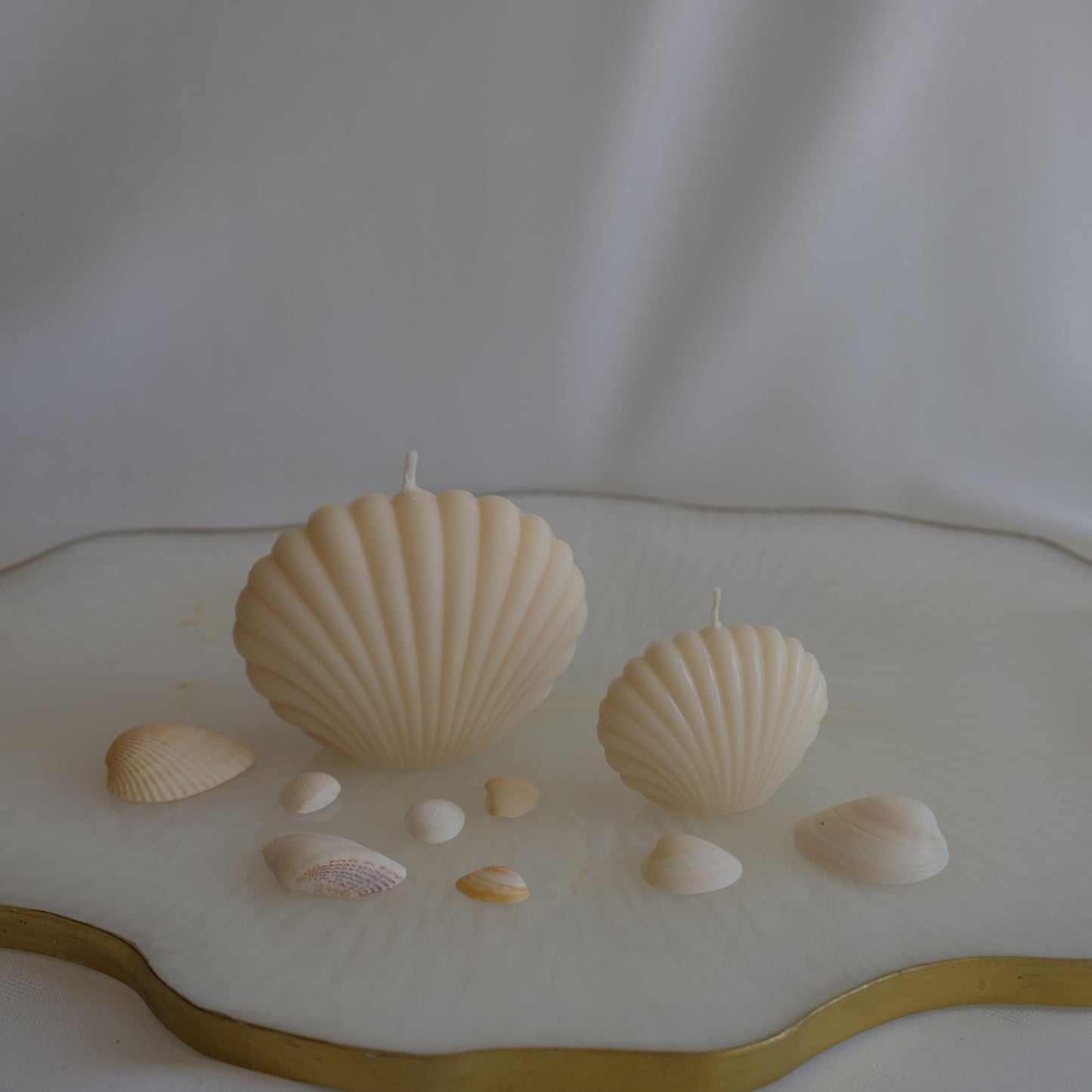 Seashells