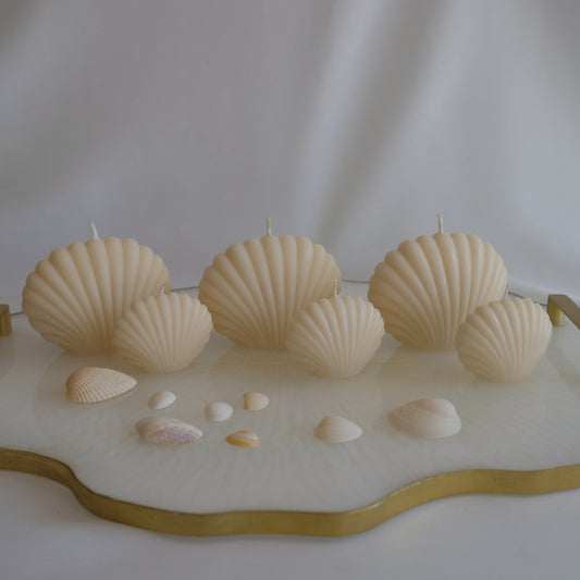 Scallop Shell Candle