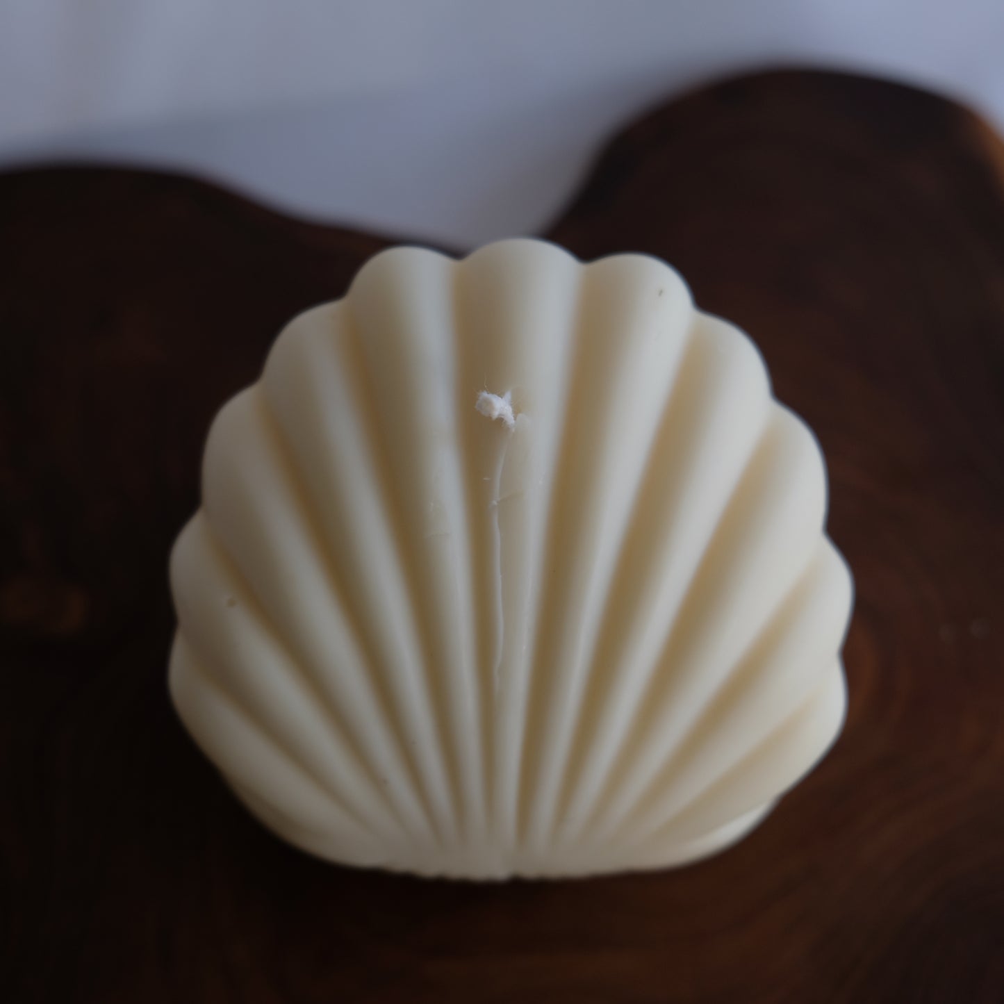 Oyster Pearl