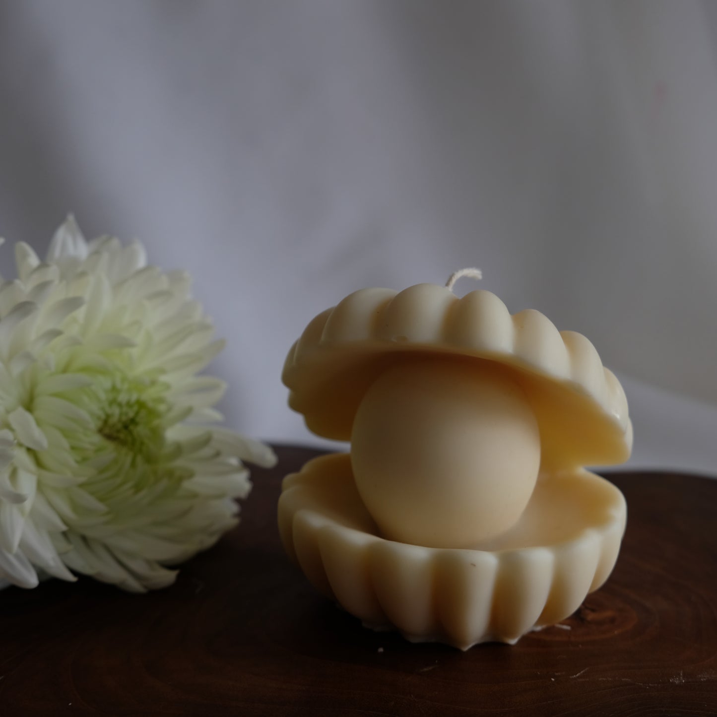 Oyster Pearl