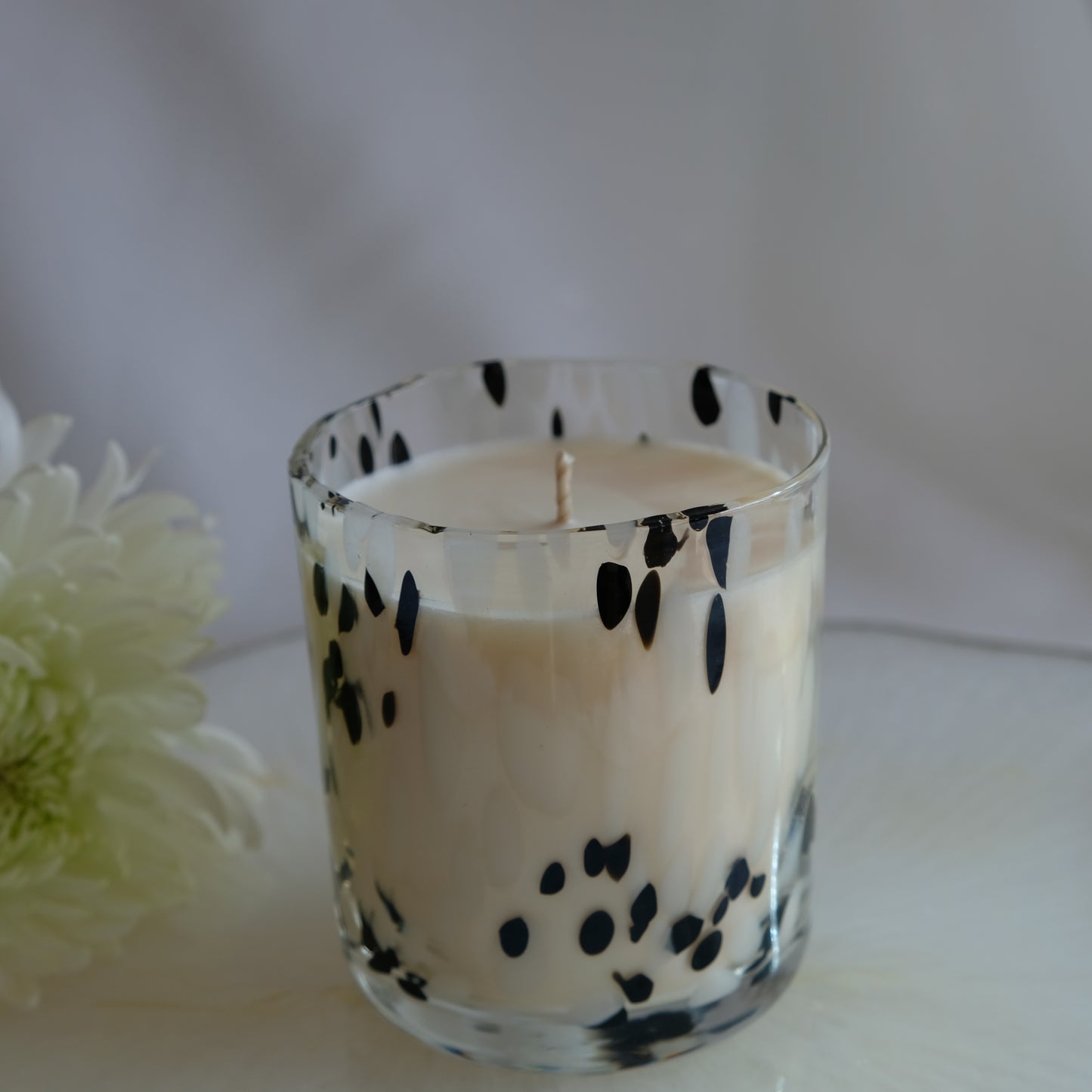 Dalmation