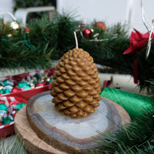 Christmas Pine Cone