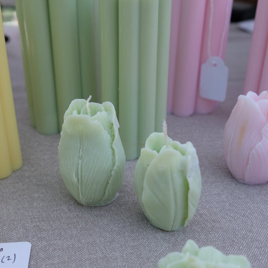 Tulips