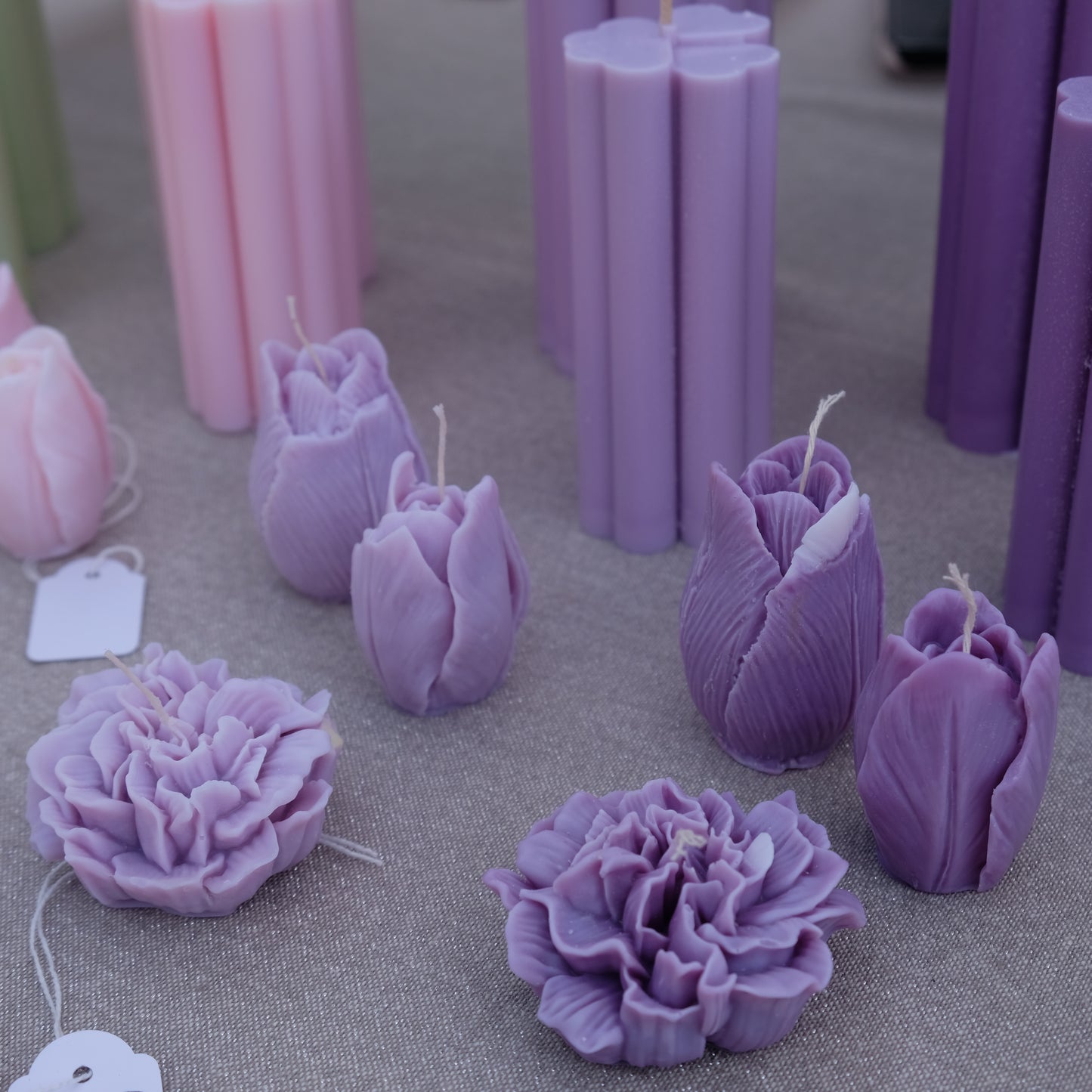 Carnation