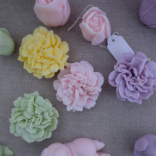 Carnation