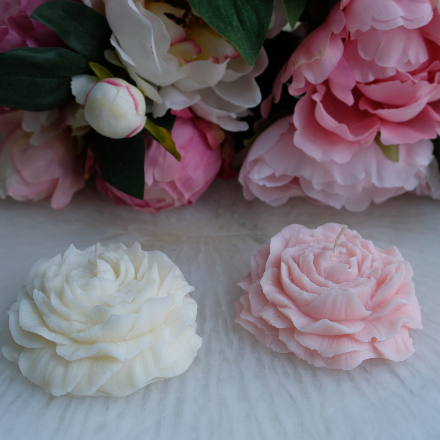 Peony Flower
