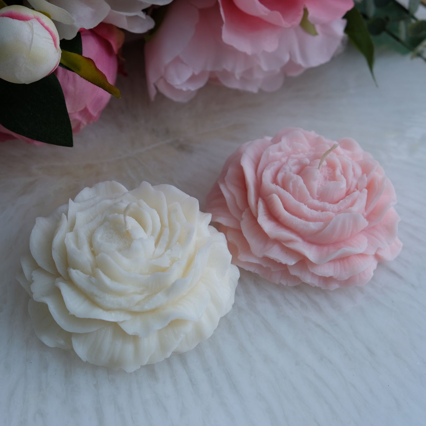 Peony Flower